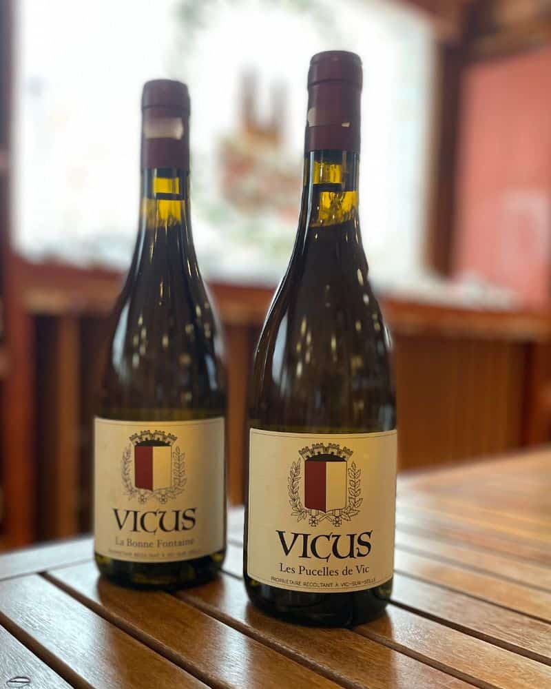 Moselle - La bonne Fontaine et la Pucelle de Vic - Domaine VICUS - 2022