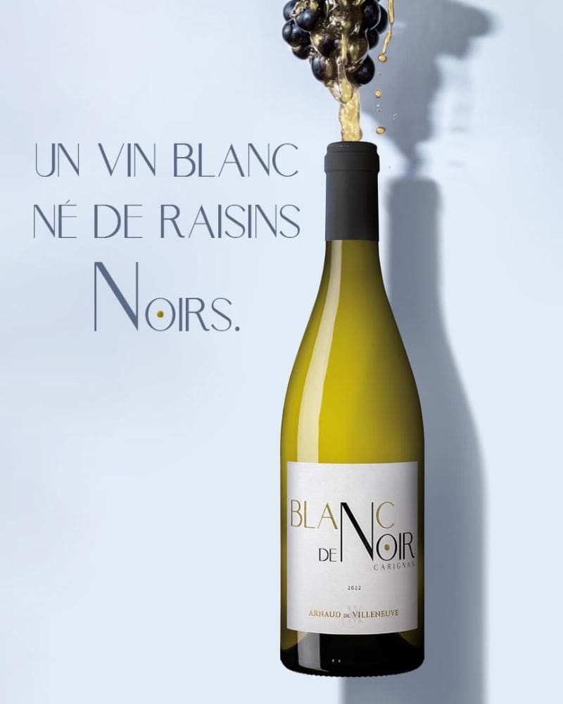 Côtes catalanes - Blanc de Noir - ARNAUD DE VILLENEUVE - 2022